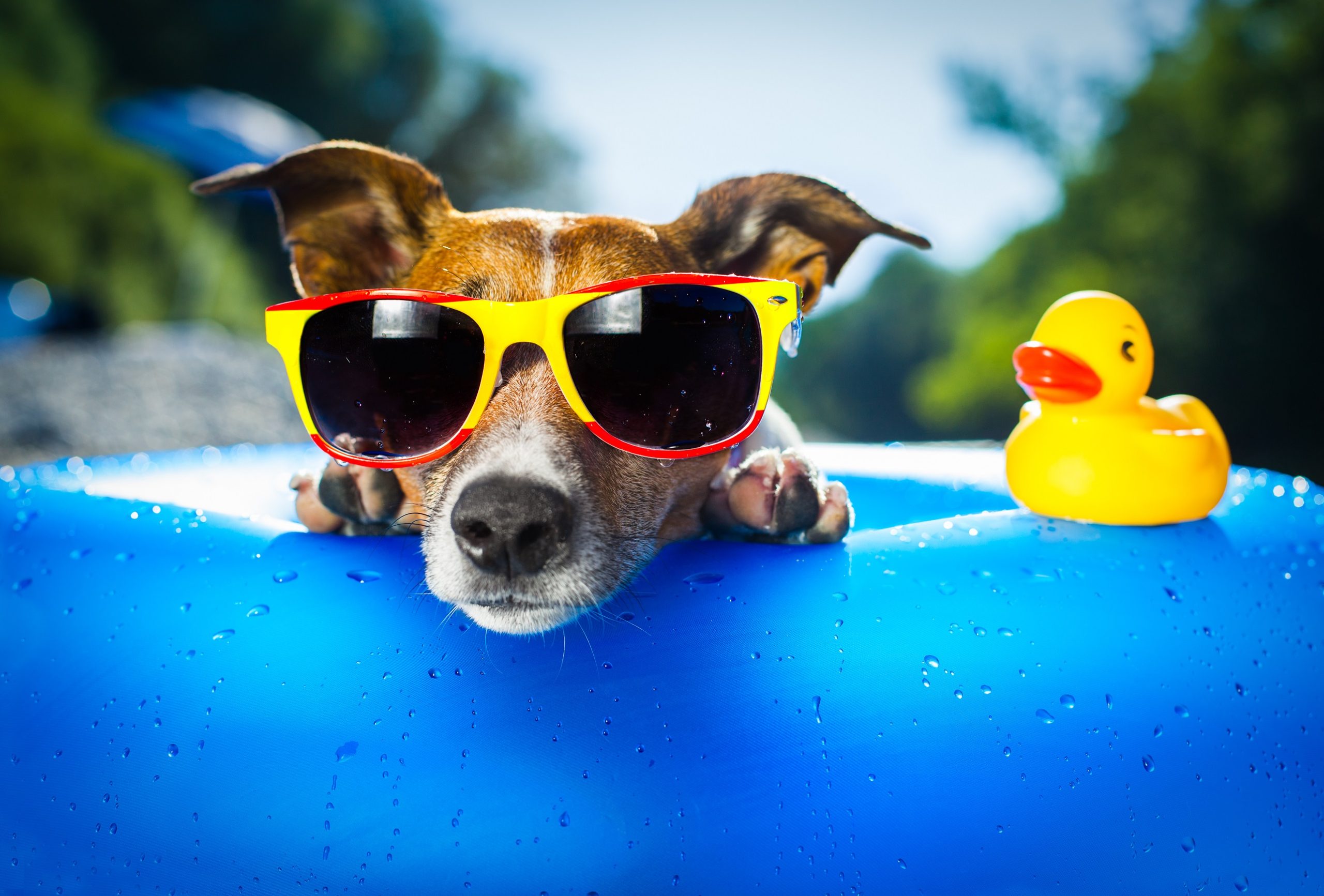 Días de Vacaciones No Usadas
