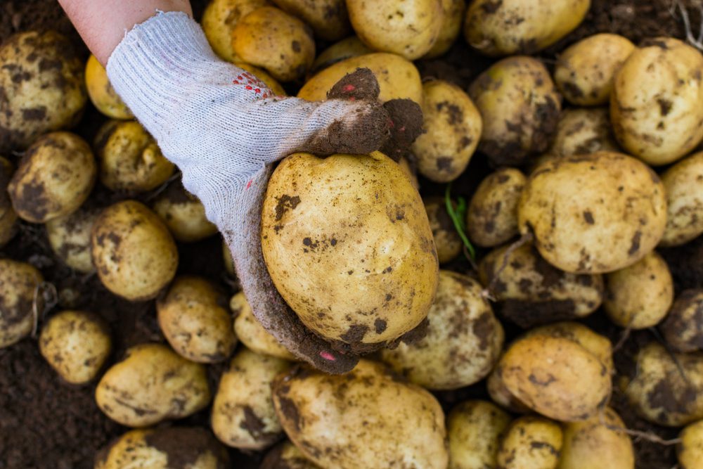 salario mínimo en el sector agroalimentario